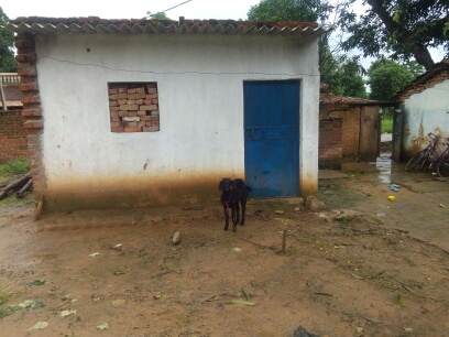 (3401016008/IF/7080901167267) GOAT SHED (1718140852) ALTpAF ANSARI, EDCHERO, EDCHE. material payment due RO