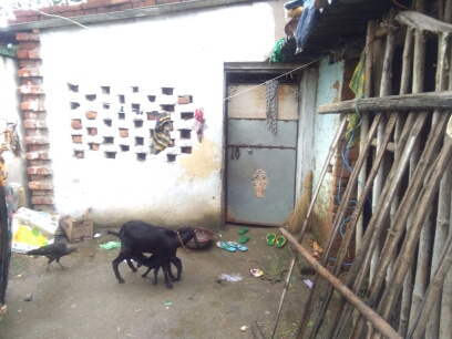 (3401016008/IF/7080901165630) GOAT SHED (1718140845) NU.     material payment due RSABA PRAVEEN, EDCHERO, EDCHERO