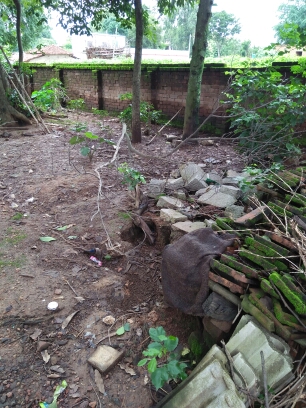 (3401016008/IF/7080901167273) GOAT SHED (1718140808) SUSHIL KACHHAP, EDCHERO, KESHARO