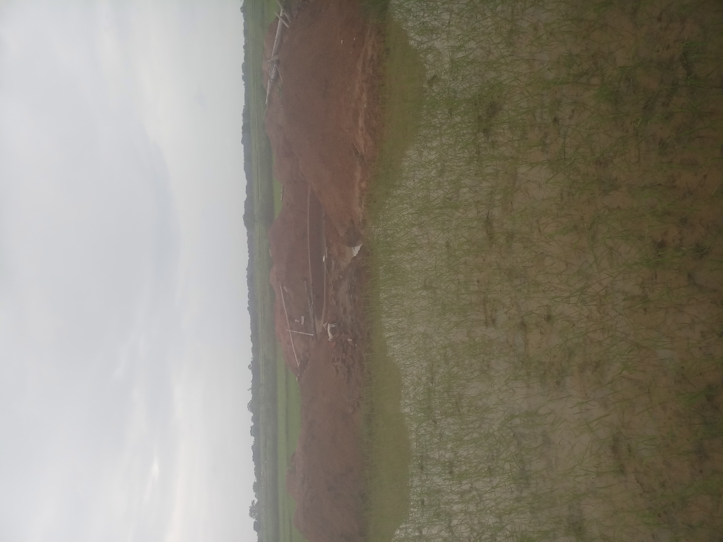 (3401016008/IF/7080901212711) WELL (1718140904) JAGRE KACCHAP, KESARO, EDCHORO