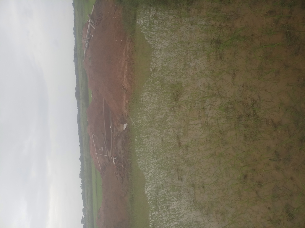 (3401016008/IF/7080901212711) WELL (1718140904) JAGRE KACCHAP, KESARO, EDCHORO