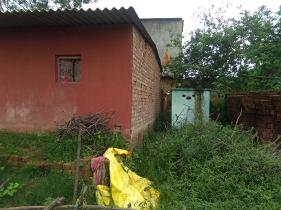 (3401016008/IF/7080901160874) CHICKEN SHED (1718140816) LALITA KUMARI, EDCHORO, EDCHORO