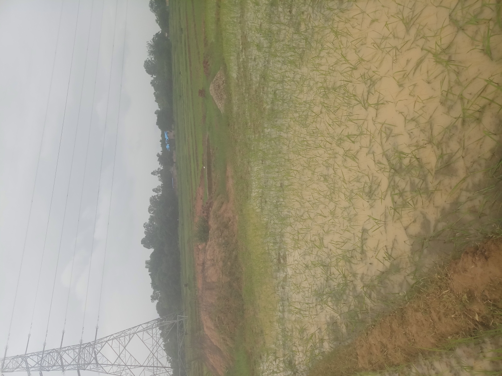 (3401016008/IF/7080901117416) WELL (16171408208) AJAY ORAON, PATRACHOULI, EDCHERO