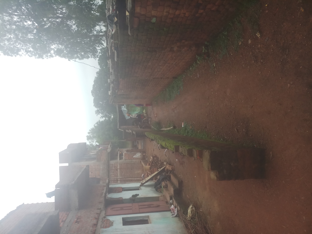 (3401016008/IF/7080901160878) GOAT SHED (1718140817) AYUB ANSARI, PATRACHOULI, EDCHORO