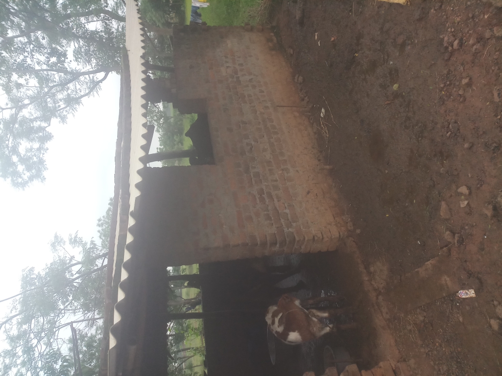 (3401016008/IF/7080901164213) GOAT SHED (1718140805) IMRAN ANSARI 2, EDCHERO, BARSA