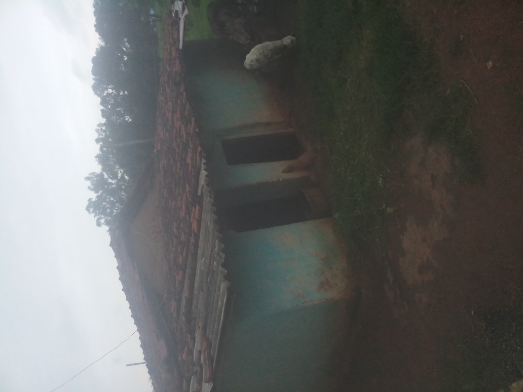 (3401016008/IF/7080901159173) GOAT SHED (1718140875) FIROJ ANSARI, EDCHERO, BARSA