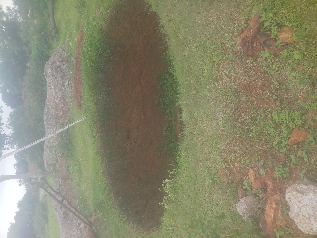 (3401016008/IF/7080901115874) WELL (16171408202) ALIMUDDIN ANSARI, EDCHERO