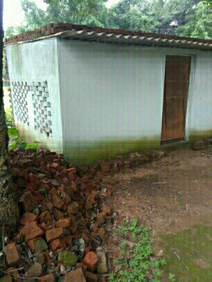 images