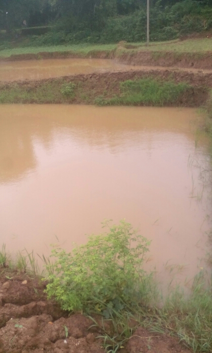 ग्राम आरा में संजय पाहन के जमीन में डोभा का निर्माण 30x30x10 (3401014018/IF/7080901079585)