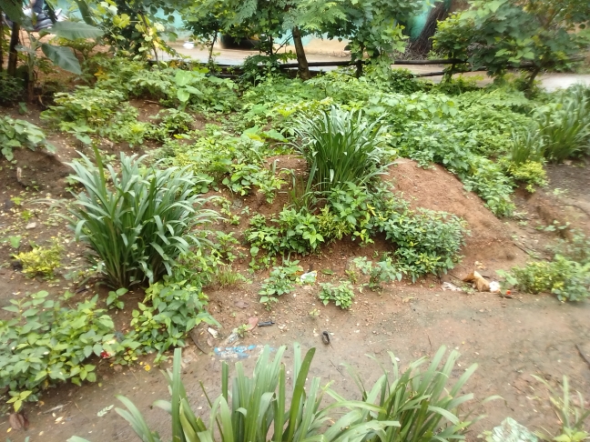 images