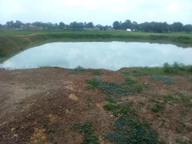 Banjar Bhoomi Rice Failo Antargat Sarkari Talab Jinrodhar