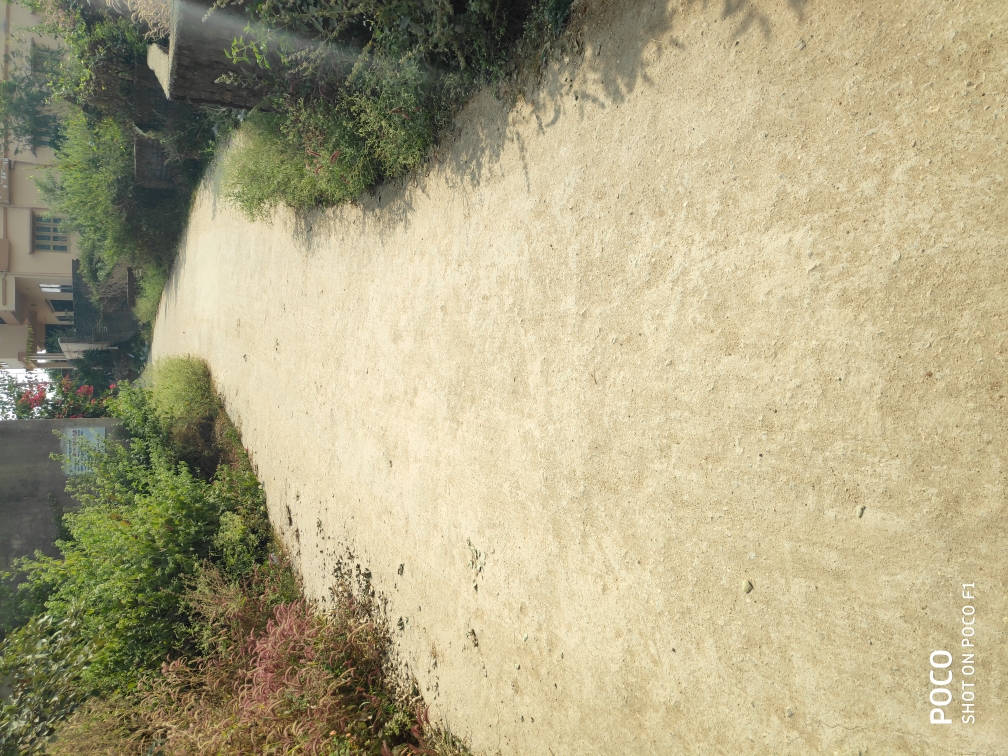 Construction of PCC road behind South of Padosan Restaurant from house of Pathak ji to the house of Mandal Ji, Kathal more, Nagri